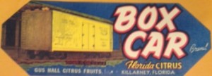 Gus Hall Citrus Fruits - Box Car Label